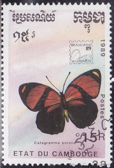 Mariposa