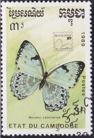 Mariposa