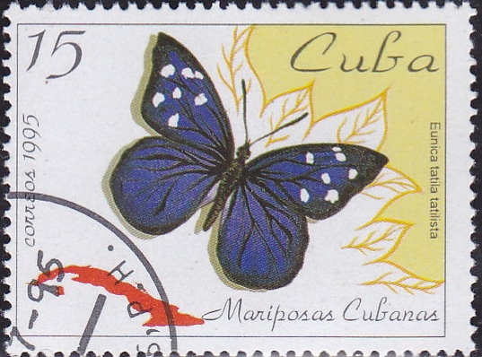 Mariposa