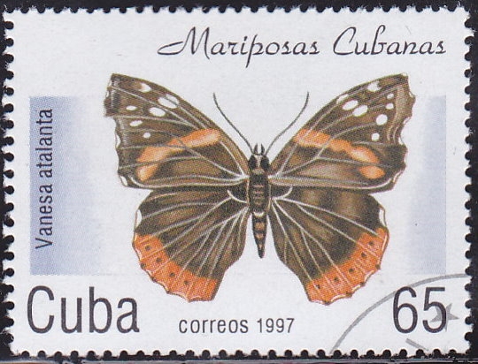 Mariposa