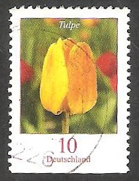 2309 a - Tulipan
