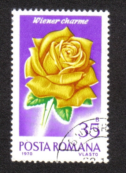 Rosas