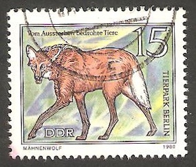 2183 - Lobo
