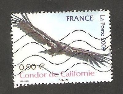 4375 - Condor de California