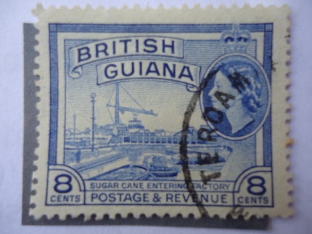 Sugar Cane, Enterring Factory - British Guiana.