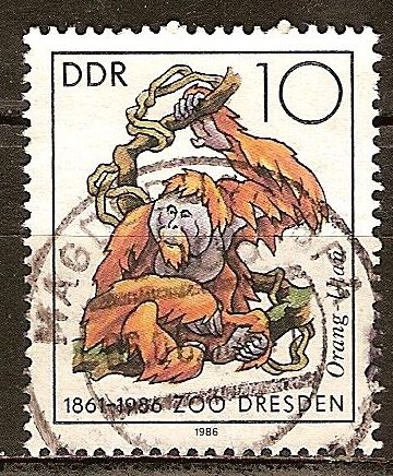 125 años del zoológico de Dresde