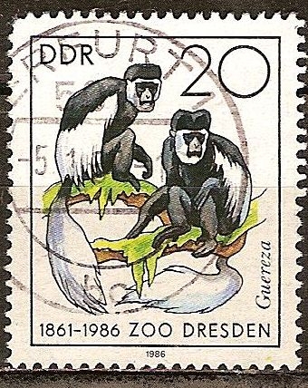 125 años del zoológico de Dresde
