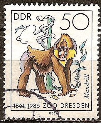 125 años del zoológico de Dresde