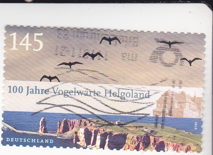 acantilados de Vogelwarte Helgoland