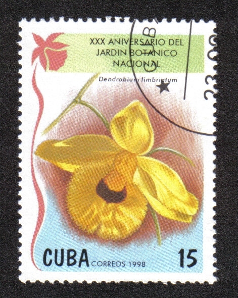 Orquídeas