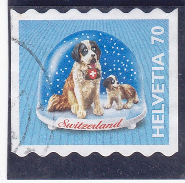 bolas de nieve- perros san Bernardo