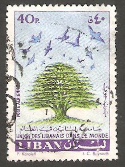 203 - Unión libanesa en el Mundo, Cedro libanés