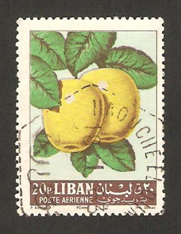 269 - Manzanas amarillas