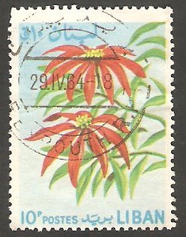 241 - Flores