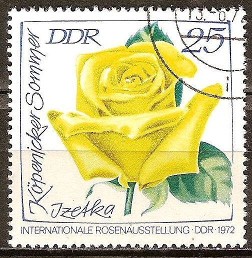 Exposición Internacional de Rosas,1972 en DDR-Izetka Köpenicker verano.
