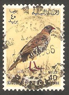260 - Perdiz