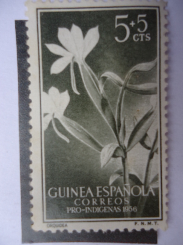 Orquidea - Pro Indigenas 1956-Guinea Española