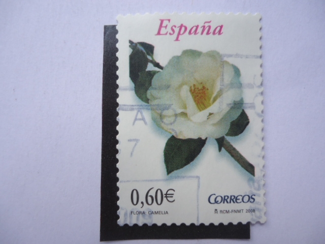 Ed:4382 - Flora: Camelia.