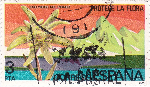 protege la flora  (21)