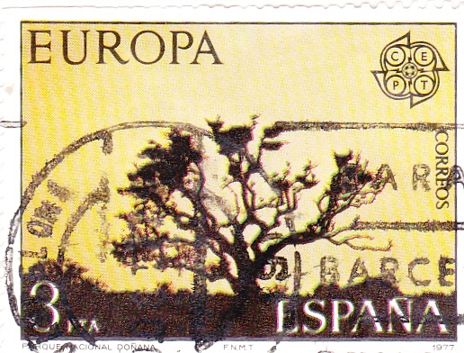EUROPA-CEPT-parque de Doñana  (21)