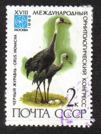 18º Congreso Internacional de Ornitología