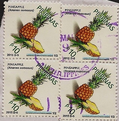 Piña - Ananas comosus