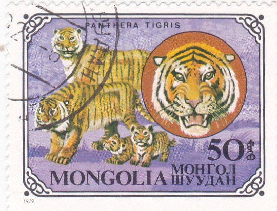 familia de tigres