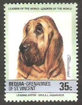 Bequia - Perro de raza