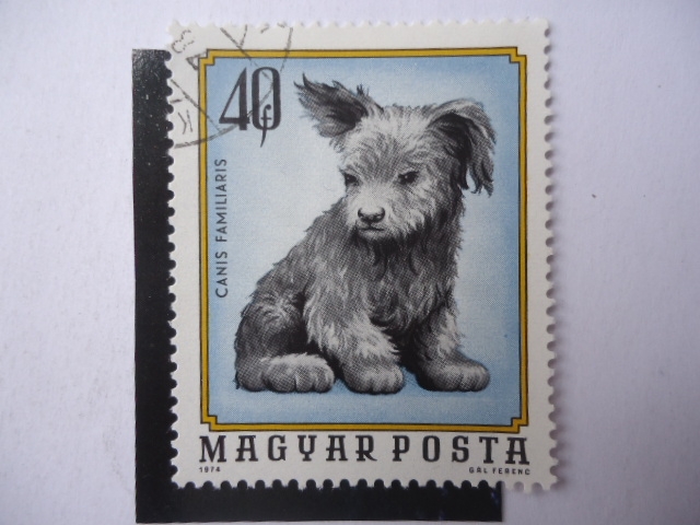 Canis Familiaris - Magyar Posta.