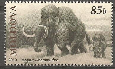 MAMMUTHUS