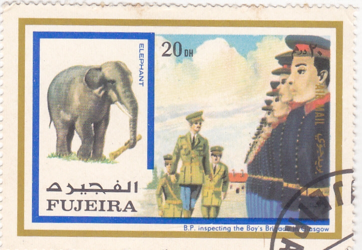 elefante y inspeción de la Brigada de Glasgow