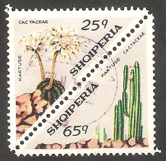 1428 y 1430 - Flores de cactus