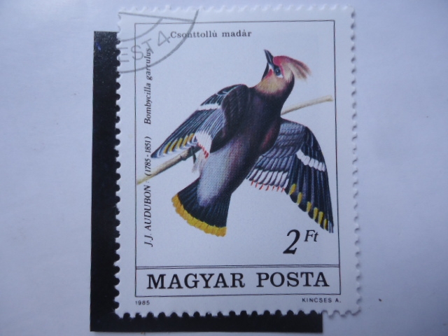 Fauna: Bombycilla Garrulus - Magyar Posta.