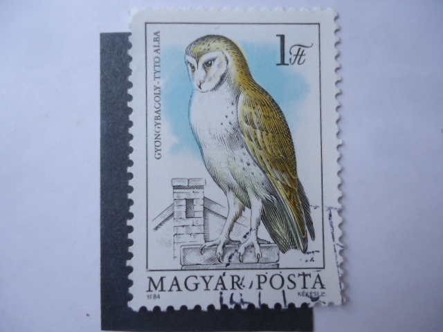 Fauna:Gyongybacoly-Tyto Alba - Magyar Posta.