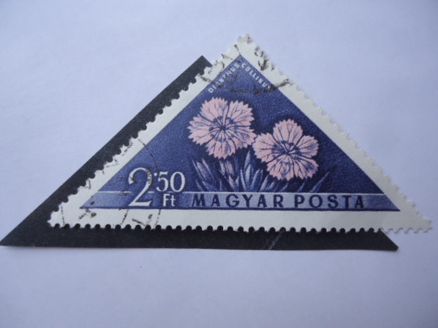 Dianthus Collinus - Magyar Posta.