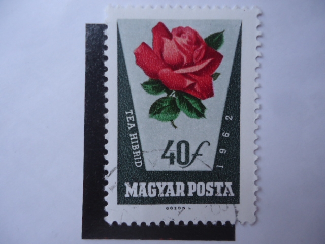Tea Hibrid - Magyar Posta.