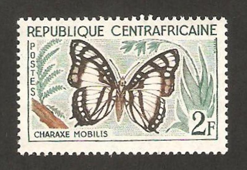 6 - Mariposa charaxe mobilis
