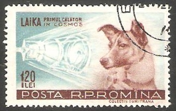 550 - Laika, primer perro en el Cosmos
