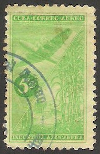  94 - Plantación de cañas de azúcar