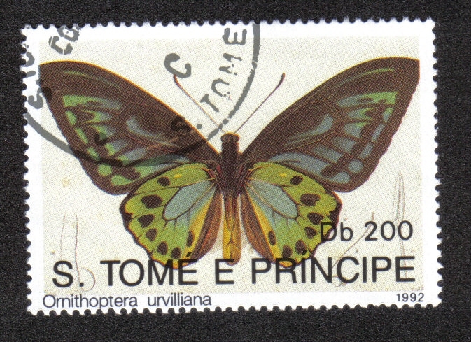 Mariposas