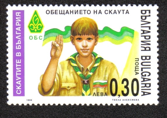 Scouts