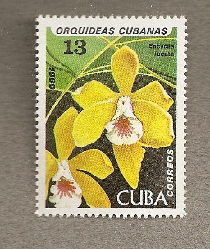 Orquideas cubanas