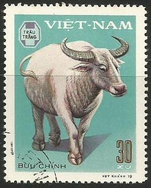 Domestic Horned Animals