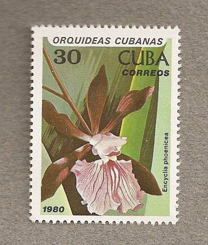Orquideas cubanas