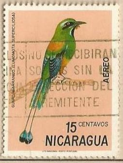 Nicaraguan Birds - Guardabarranco