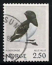 Alle Alle (900)