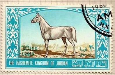 Arabian stallion (691)