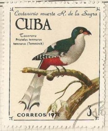 Tocoro cubano (1739)