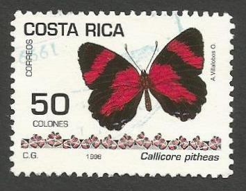Callicore pitheas (1500)