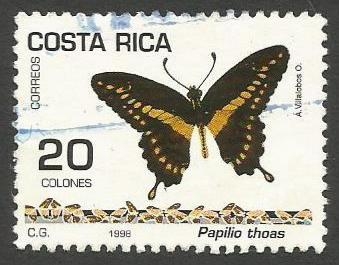  Papilio thoas (1495)